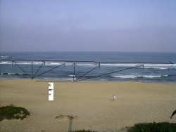 ROBALOFev2008borracha 010.jpg