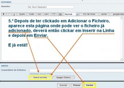 tut6.jpg