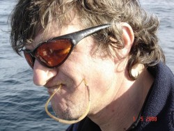 O animal limpador de dentes