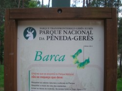 Localização...