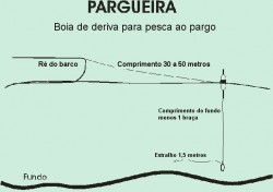 pargueira.jpg