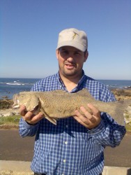 Img003.jpg