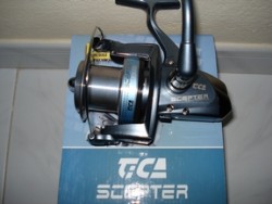 tica scepter