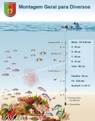 aranhas,rascassos,besugos,choupas,safias,parguetes e afins e ate bogas