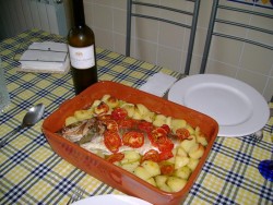 pronta a marchar!