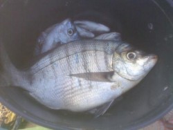 Img028.jpg