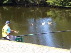 OS PATOS ASSOCIARAM-SE Á VITÓRIA...