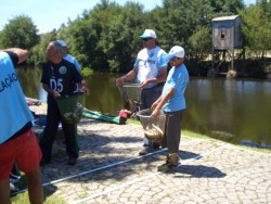 PEIXE DIVIDO EM TRES TRANCHES PARA IR PARA A BALANÇA...
