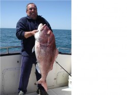 pargo 18.5kg