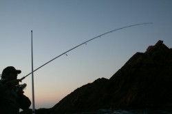 julho2008 berlengas 2 520.jpg