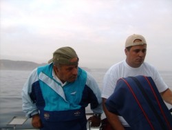 os estreantes