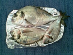 Img000.jpg