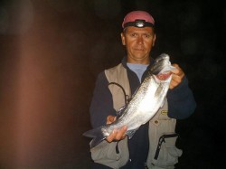 Manuel 1.JPG (95.16 KiB) Visto 387 vezes Belo Robalo de 1.100kg