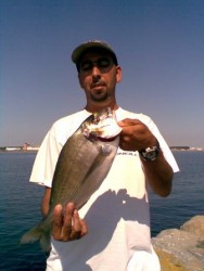 Img002.jpg