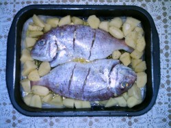 parguinho.JPG (96.6 KiB) Visto 192 vezes Parguinhos prontos a entrar no forno...