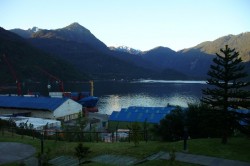 P1020055_.JPG