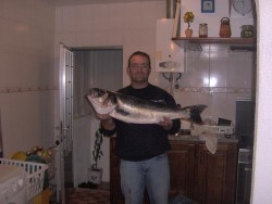 ROBALA 6KG E UNS TROCOS.JPG