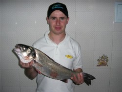 humberto2k5.jpg
