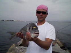 IMG011-01.jpg