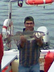 Img004.jpg