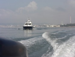 PMaritima.jpg