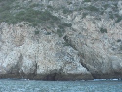 C.ESPICHEL5.jpg