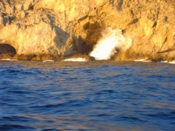 Spray das Ondas