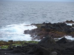 porto martins.jpg