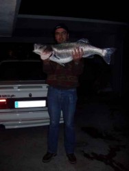 Robalo 8.375kg.jpg