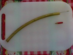 tubo de borracha, enfia-se o lápis numa ponta, corta-se e com outro bocado afia-se e corta-se um bocado que faz de tampa