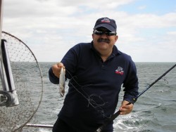 o nosso saudoso Alfama com polo manga comp
