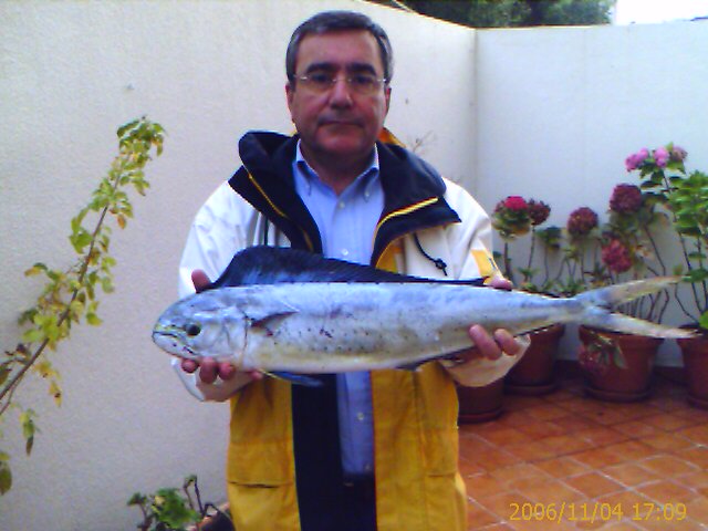 Dourado 85cms; 3kg