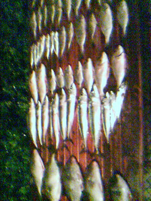 IMAGE_00002.jpg