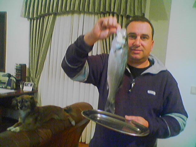 robalo em azurara 1.jpg