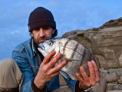 Sargo 45cm 1,6kg... no "meu quintal" do Oeste em Abril