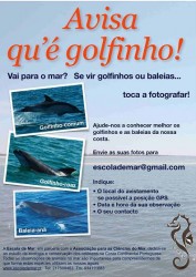 AvisaquegolfinhoNET3.JPG