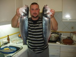 Amigo PJPescador faz a apresentação do pescado, dois belos robalos diga-se de passagem.