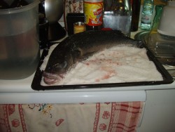 Depois do peixe amanhado são colocados num tabuleiro e cobertos por uma camada generosa de sal, neste caso andou perto dos 15 Kg. Não esquecer que as barrigas do peixe tem de ser tapadas com prata de alumínio para não entrar sal.