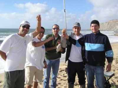 SARGO DO S.P.-mini.JPG