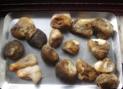 batatas.jpg