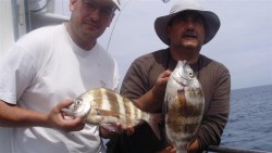 pesca1 042 2 (Medium).jpg (50.03 KiB) Visto 572 vezes este já um adulto, para próxima é destes que eu quero :)