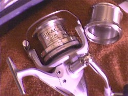 carreto1.jpg